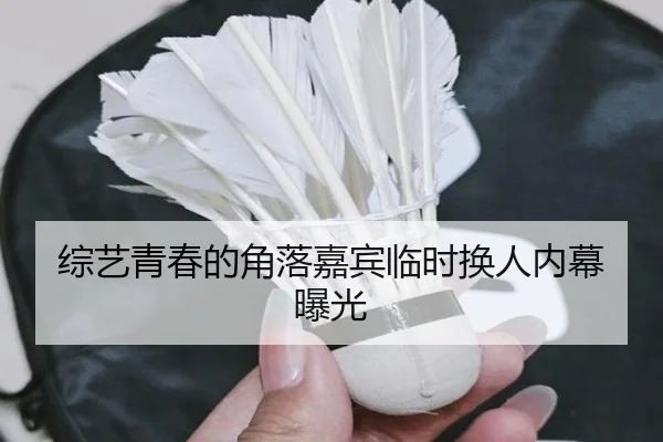 综艺青春的角落嘉宾临时换人内幕曝光